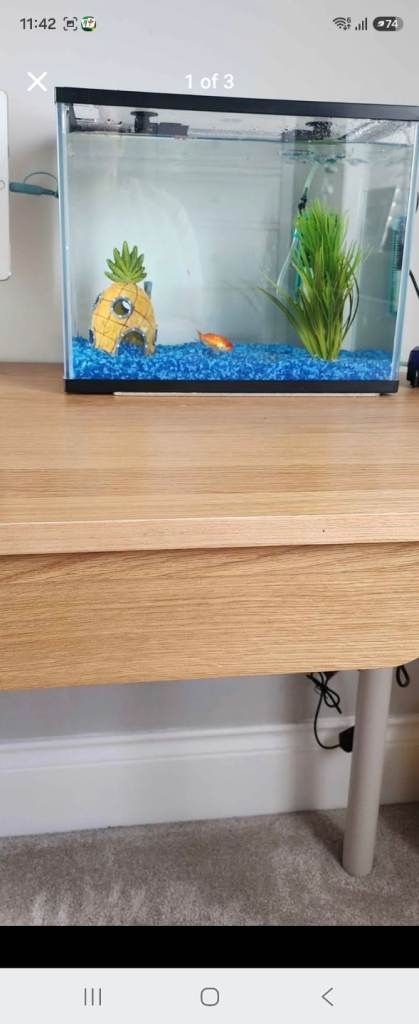 Glass Aquarium with Accessories – Good Condition