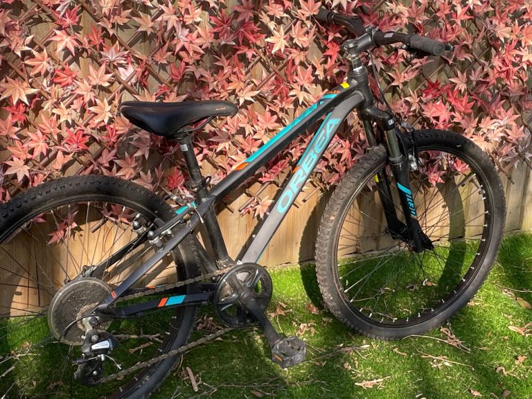 Orbea Youth Bike Boys Girls MX 24