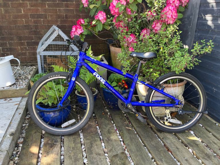 Frog 52 blue bike
