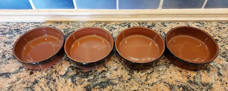 Four nice clean microwave, freezer & oven safe 11 x 3cm glazed ramekin dishes