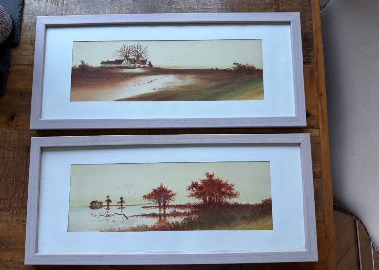 Framed Landscape pictures 