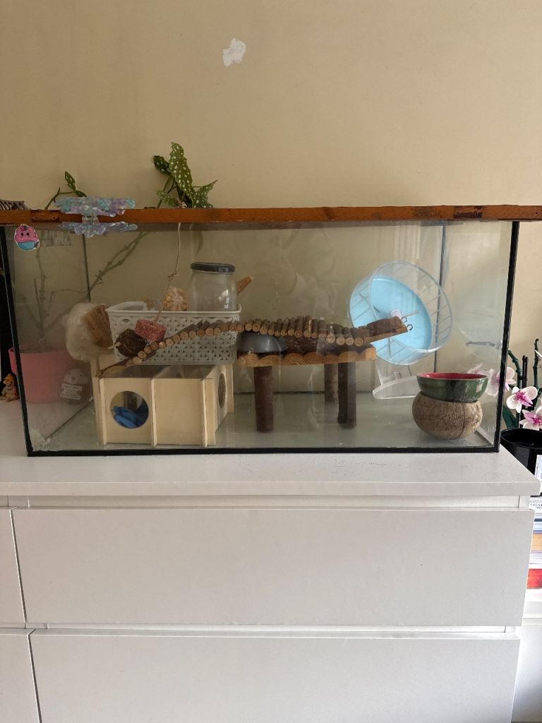 Hamster Cage and Starter Kit 