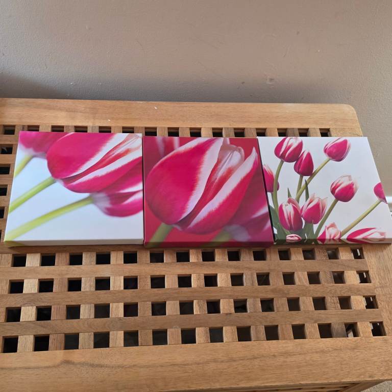 Set of 3 Pink Tulip Canvas Pictures – Good Condition