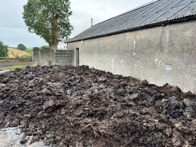Premium Aged Farm Manure for gardens / vegetable growing 