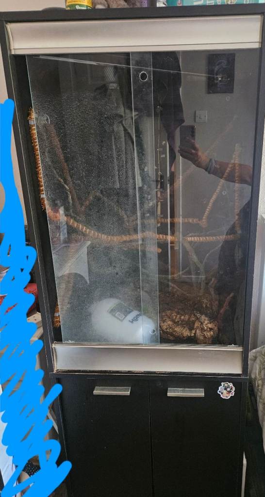 Reptile vivarium 