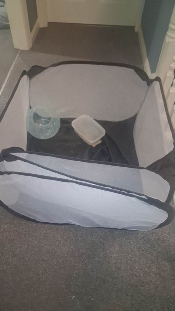 Small pet play pen