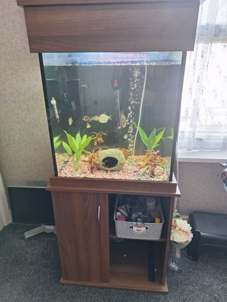 Fish tank and cabinet 