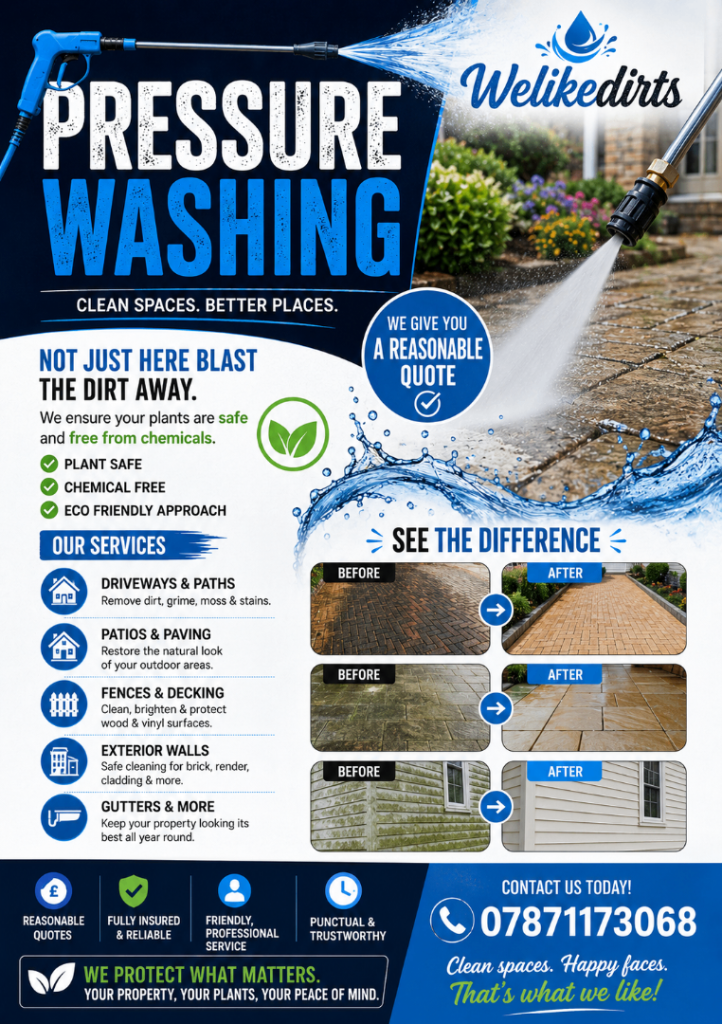 Pressure washing services 