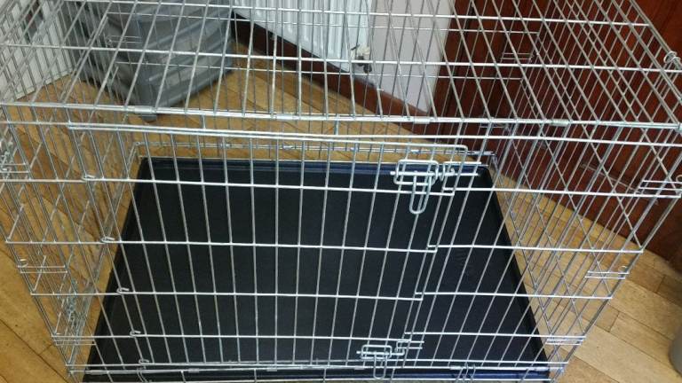 Extra Large Collapsible 42 Inch Dog Crate