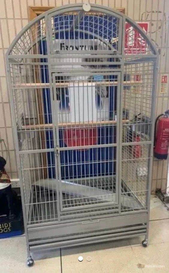 XL parrot cage for sale