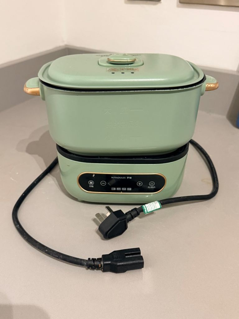 Compact Multi-Cooker Steamer – Mint Green, Excellent Condition