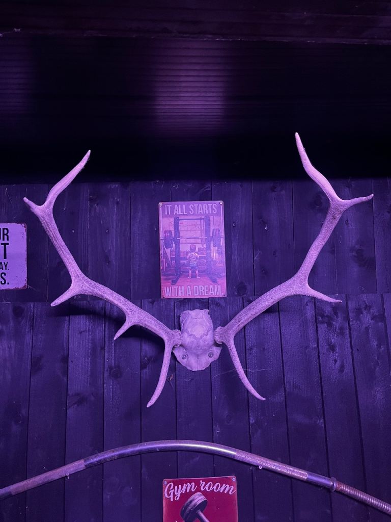 image for Antlers , Real