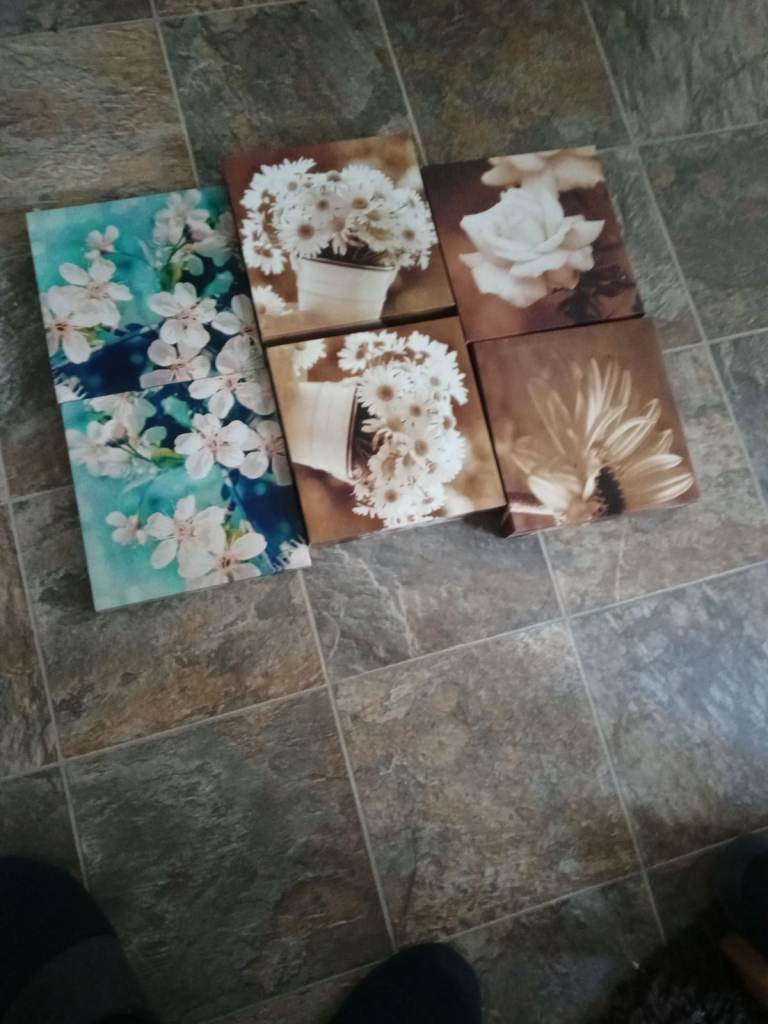 various colour canvas wall pictures in good condition