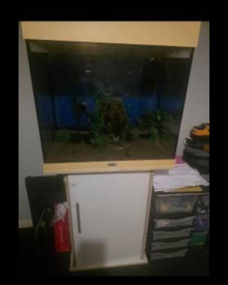 Jewel lido 120 white aquarium with cabinet 