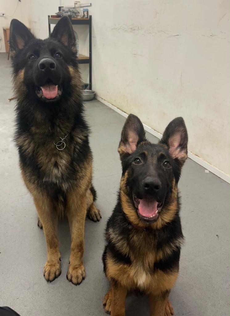 3 beautiful females left 