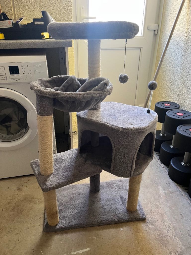 Cat scratch post