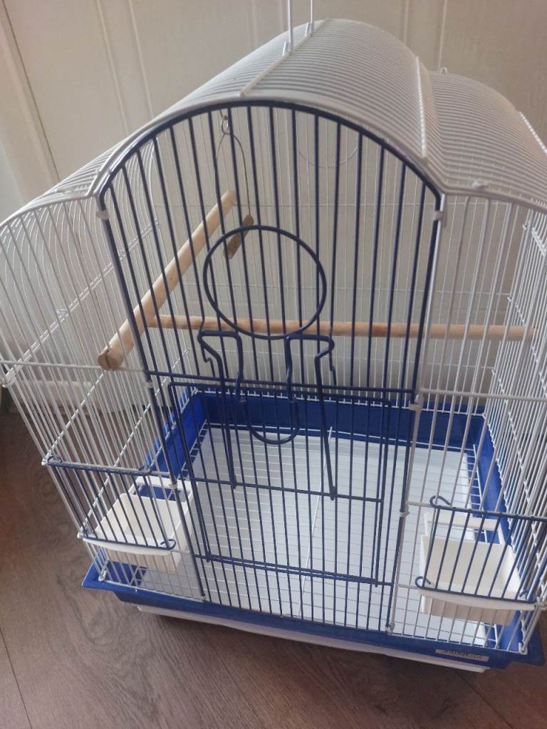  white and blue bird cage with perches and feeders