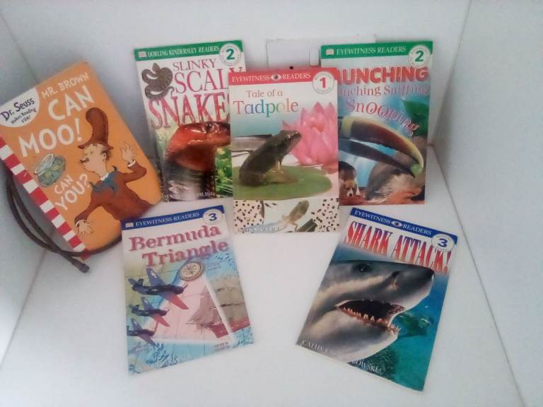 Childrens learning to read books, pre school and early school