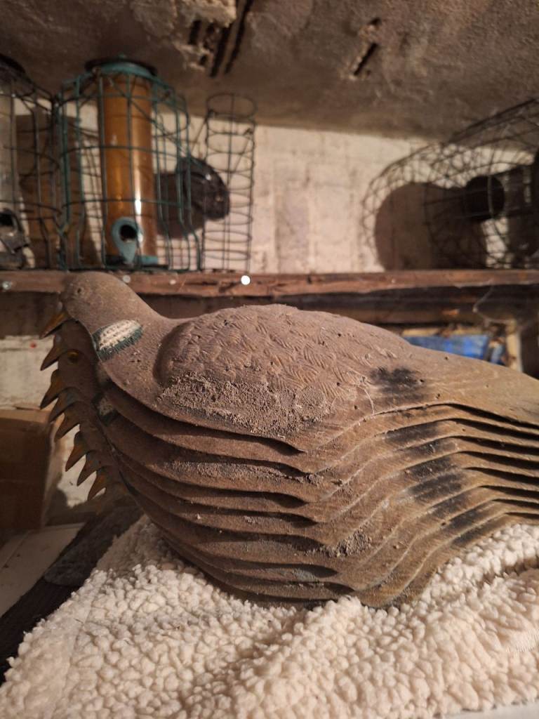 Pigeon shooting Equipment 