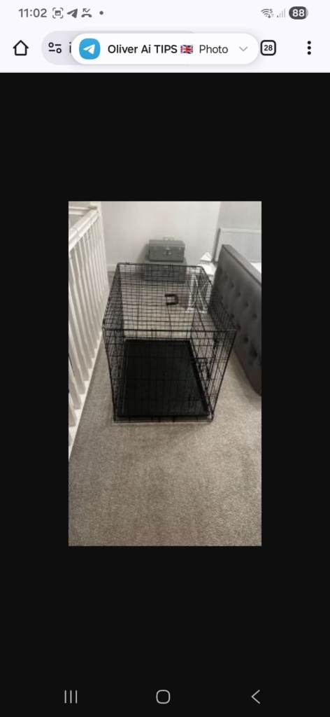Dog crate