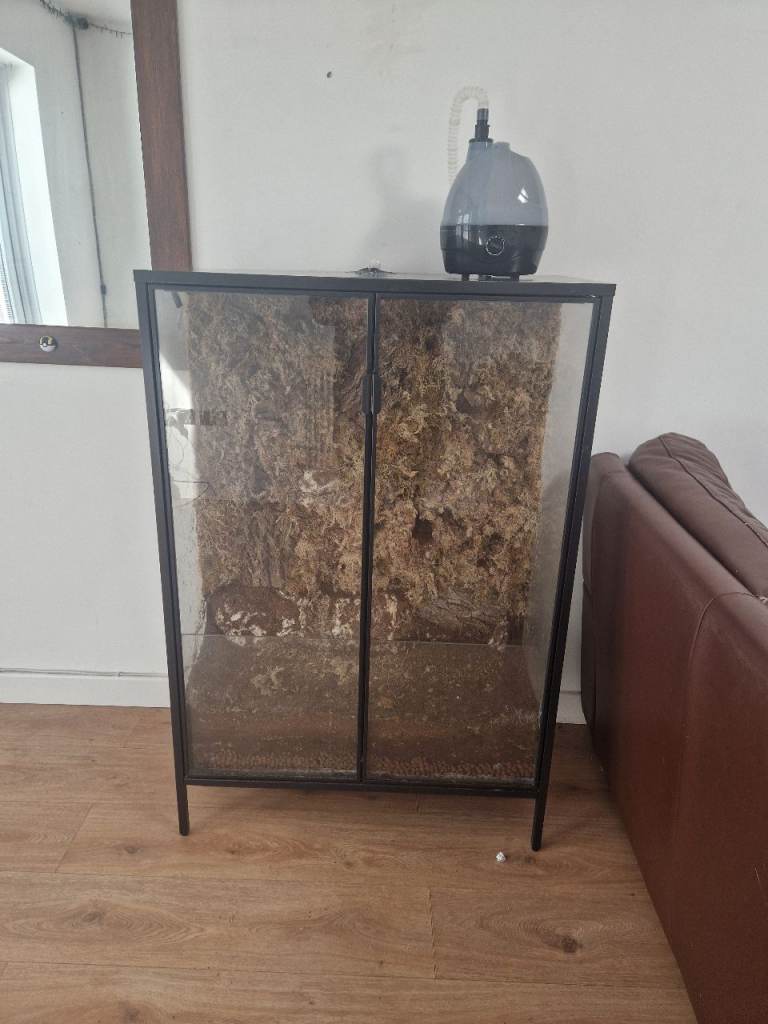 Large Terrarium