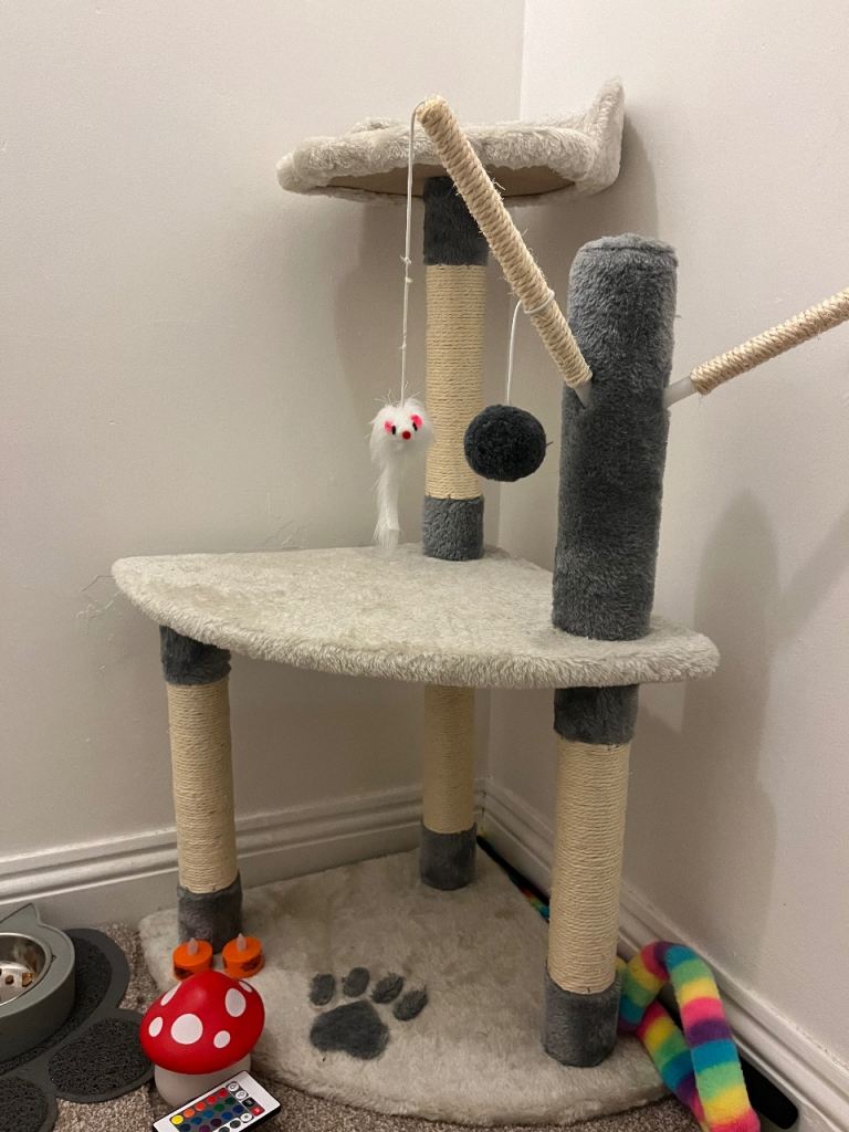 Cat tree good condition hardly ever used 