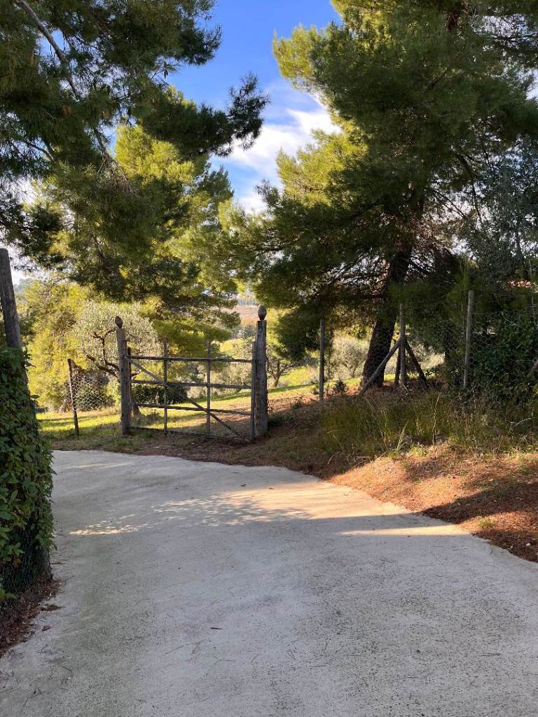 Panoramic land for sale with a building permit in Italy, Chieti (Abruzzo)