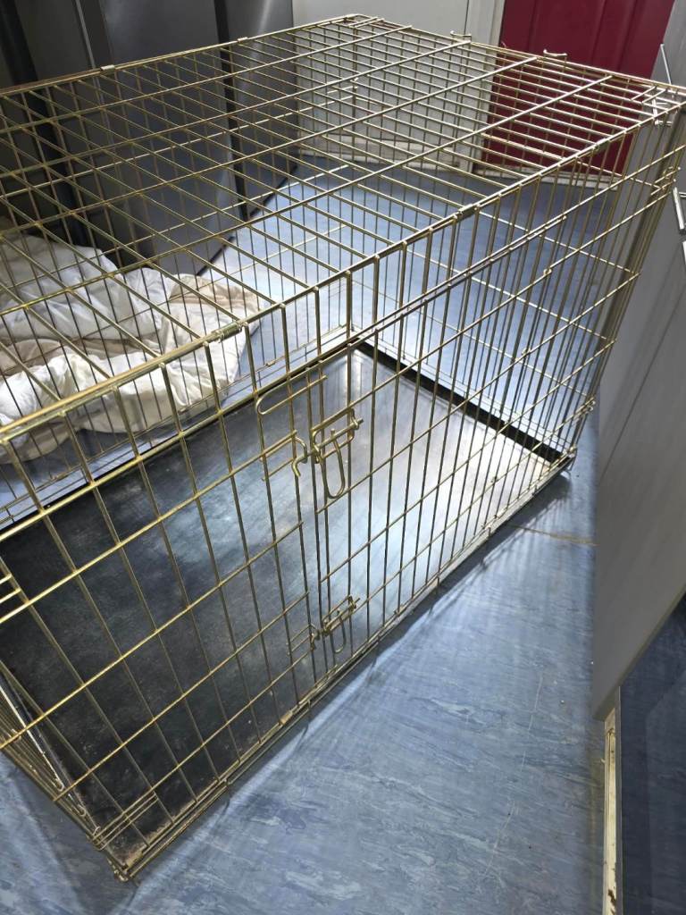 Lords and labradors dog cage