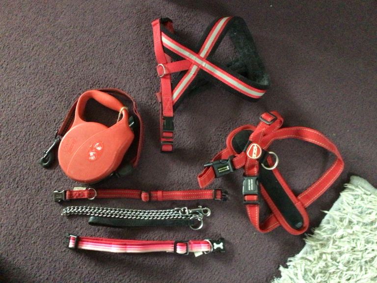 Dog harnesses, collars and leads