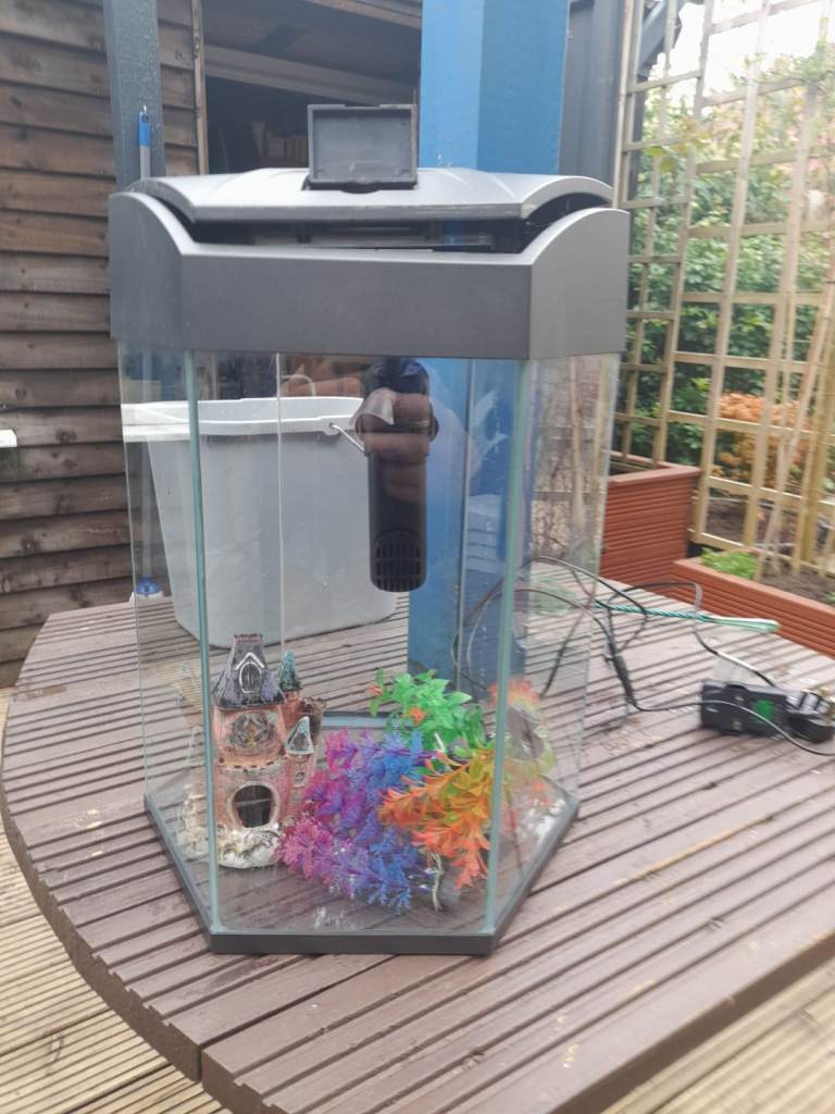Small fish tank and accessories 