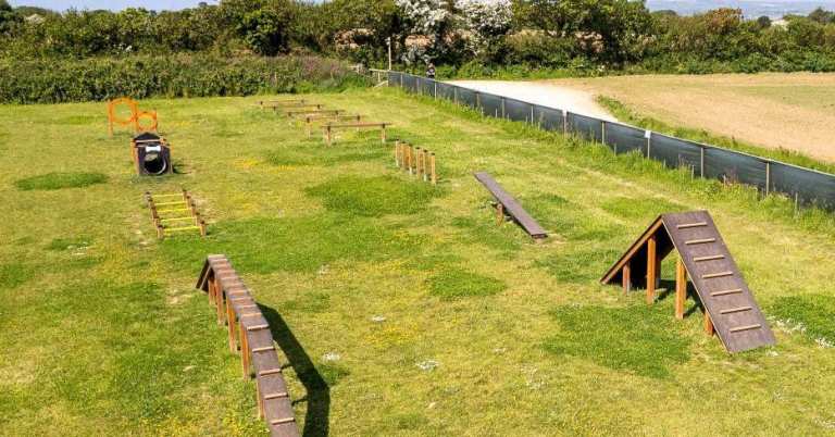 WANTED: Field / Paddock to Rent — Teesside & Surrounding Area