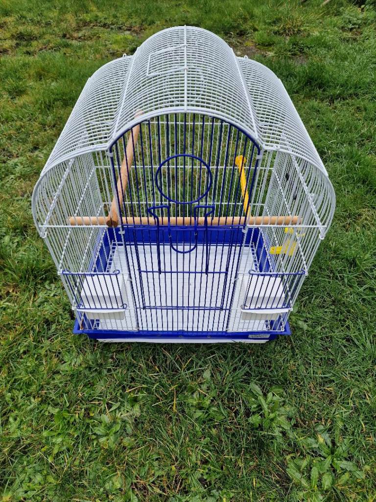 Bird cage with accesories