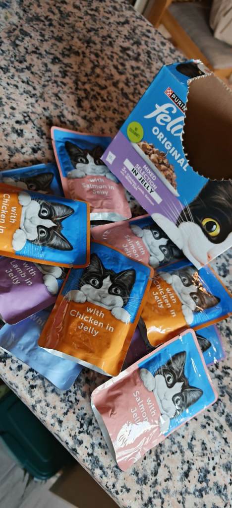 Felix wet food 