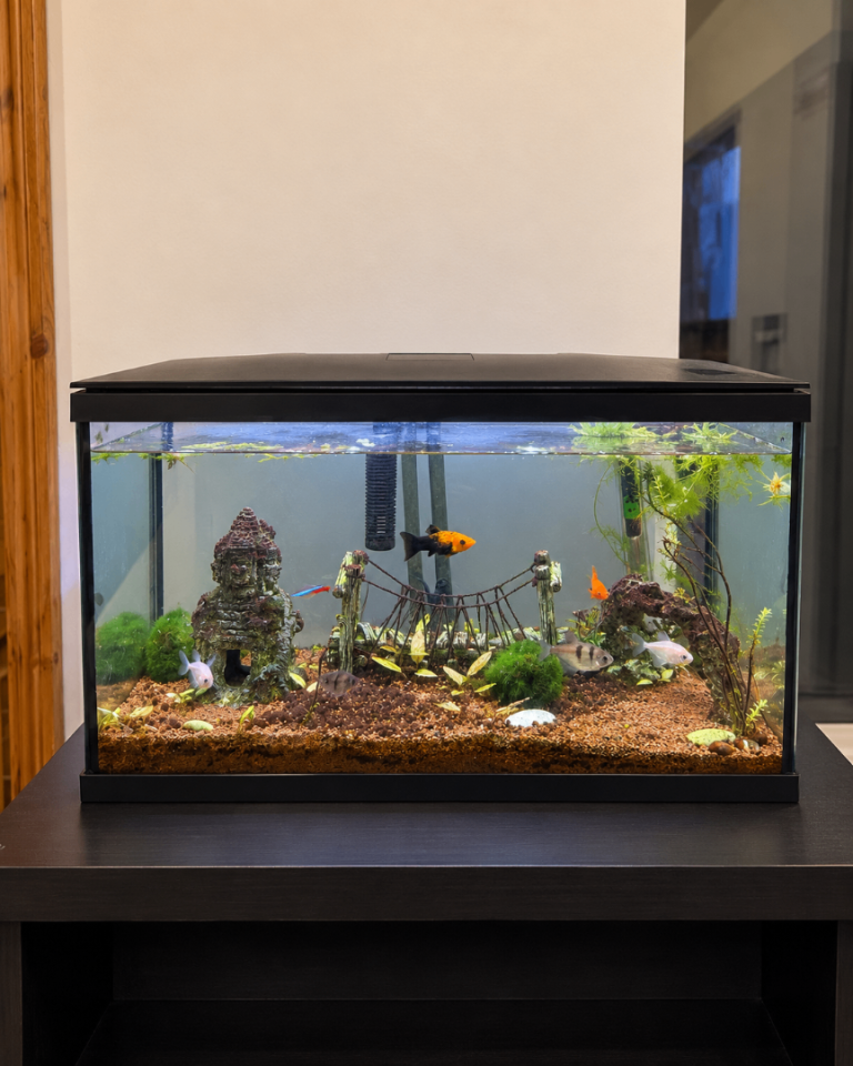 45L Fish Tank / Aquarium with Oase External Filter, Heater, Fish & Accessories – £50 ONO