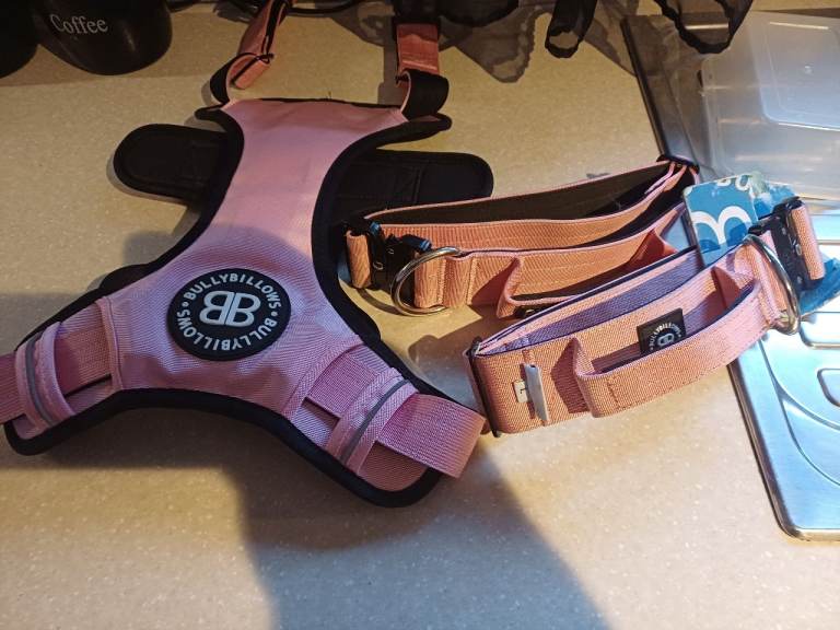 Bullybillows Harness and Collars 