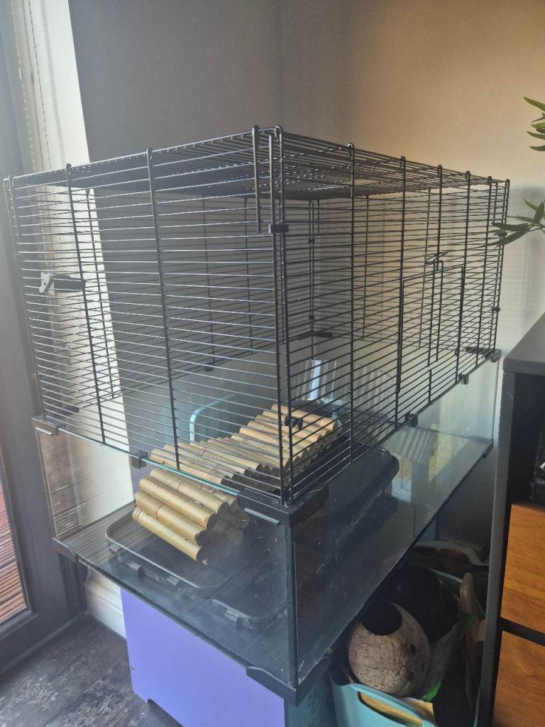 Gerbil or small animal cage