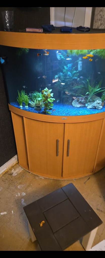 190 litre fish tank