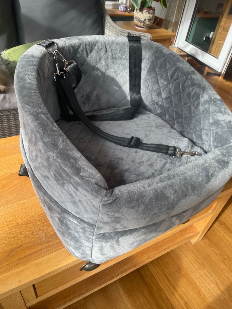 Small dog Car Seat 