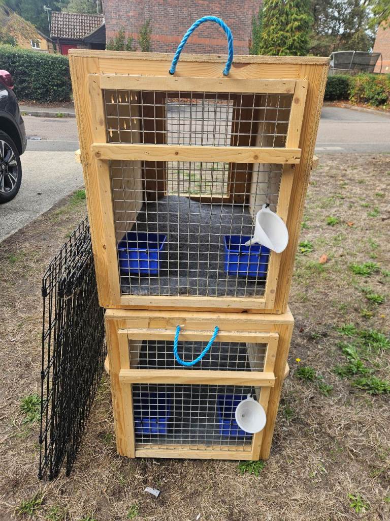 Dog Crates and Pen