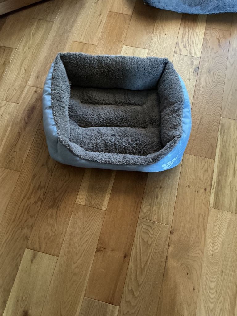 Dog bed
