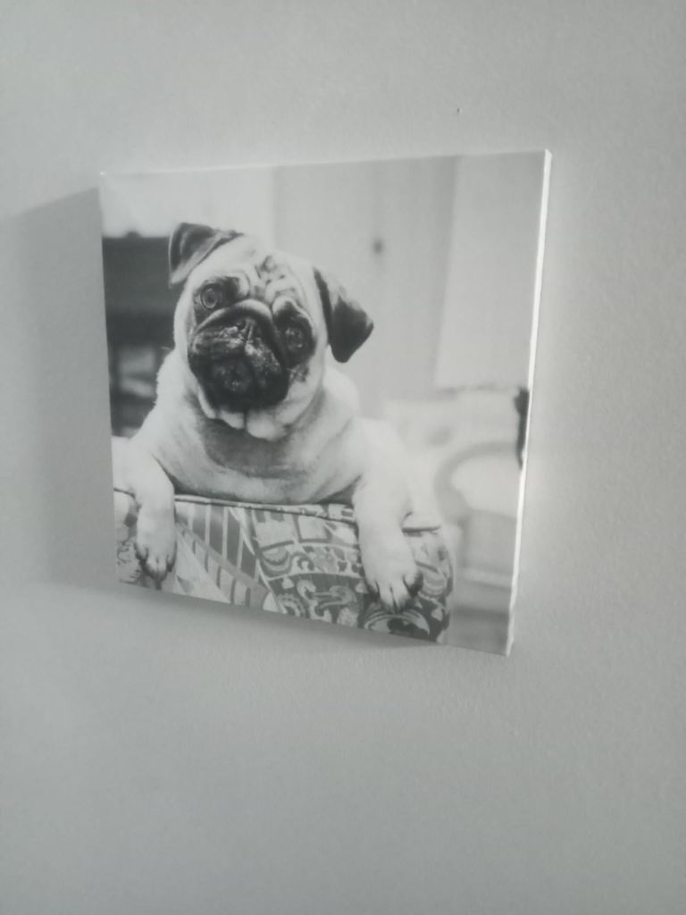 Cute Pug Canvas Wall Art – Black and White, Good Condition