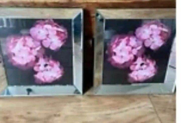 MIRRORED Chrysanthium Pictures (x2)