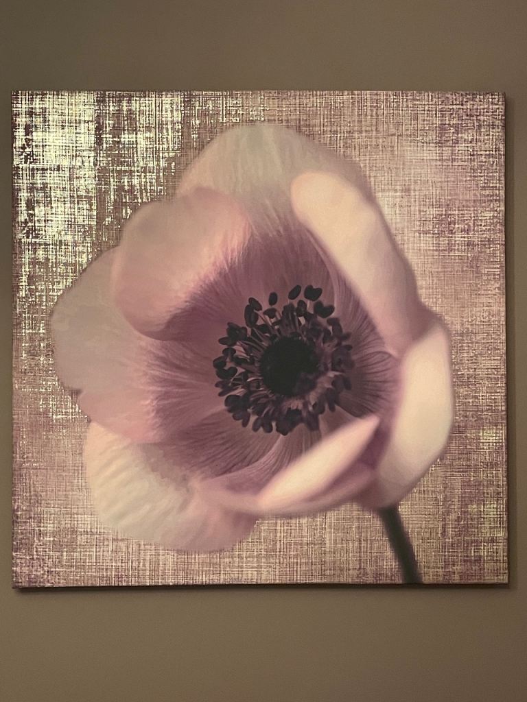2 x canvas art prints