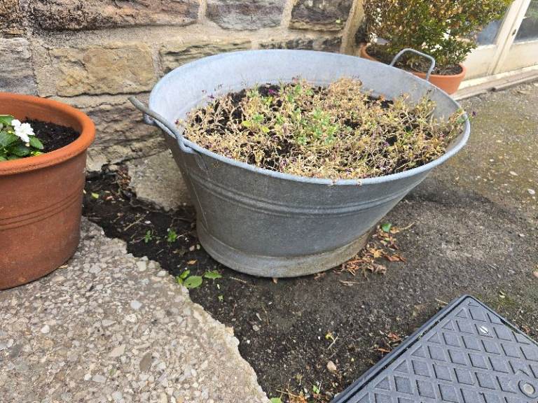 Vintage galvanised planter plant pot