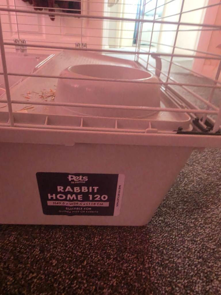 Rabbit cage 