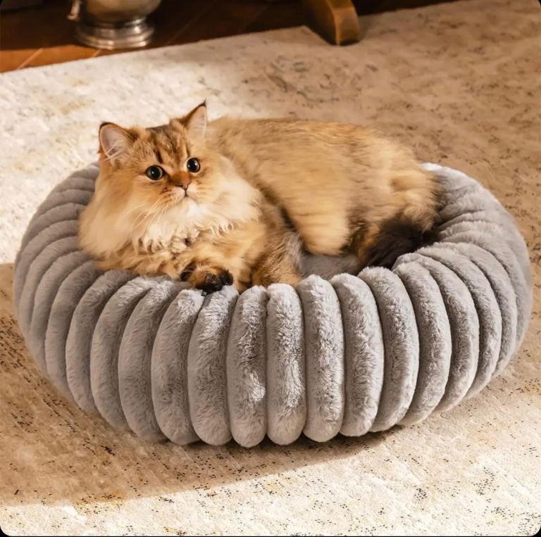Pet Bed