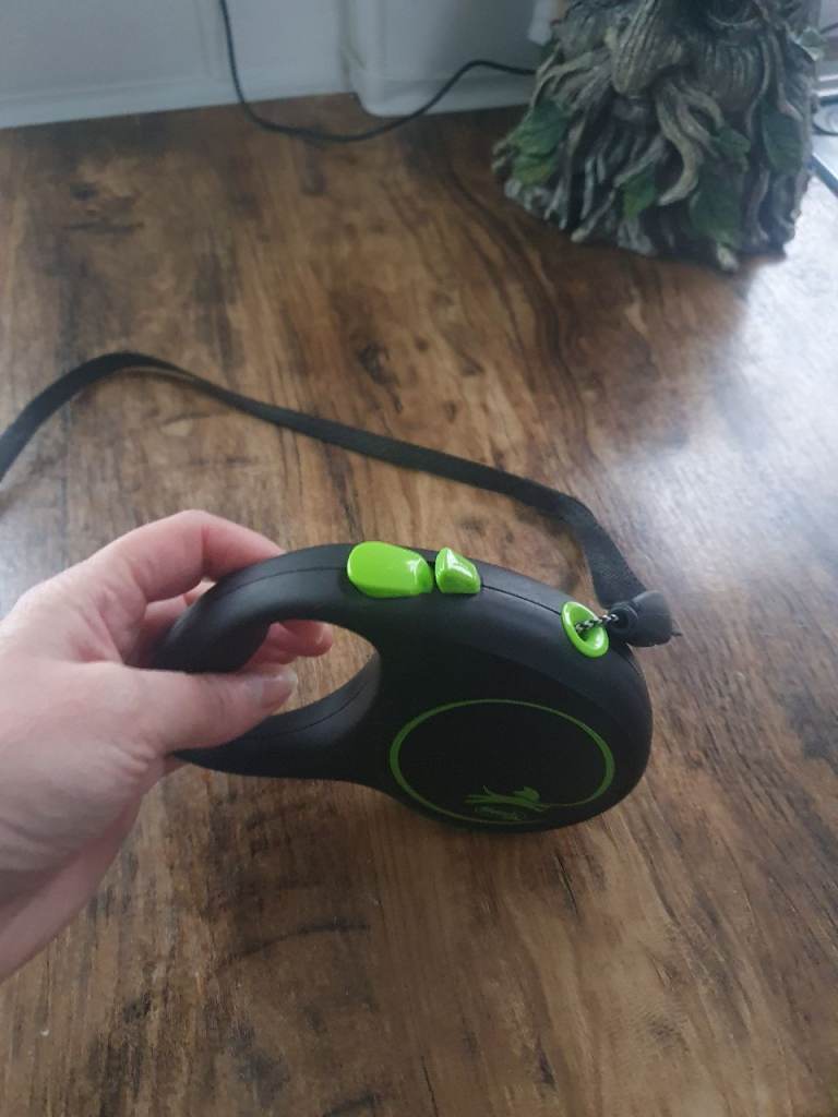 Small exstenerble dog lead 