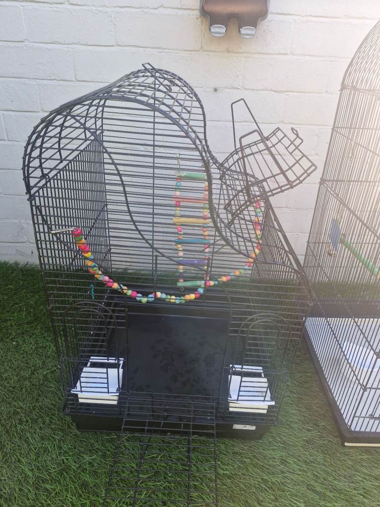 Bird cage with open top roof 