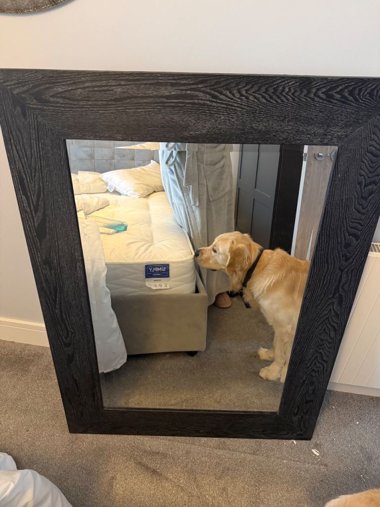 Large mirror