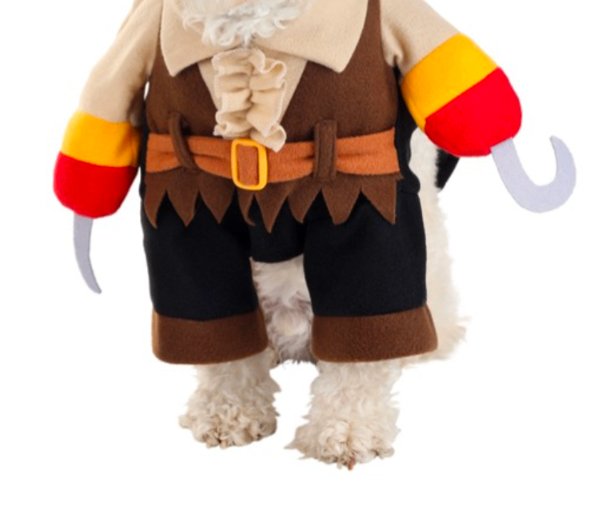 Pirate Dog Halloween Costume